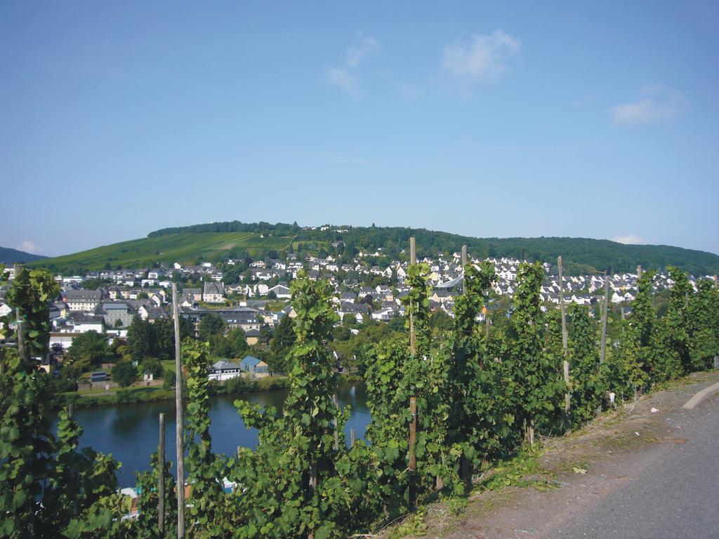 Christiana'S Wein & Art Hotel Bernkastel-Kues Exterior foto